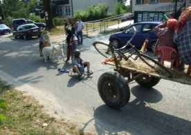 28.08.2011 Dożynki Parafialno-Gminne i pożegnanie Ks. Proboszcza Ireneusza Fedec 