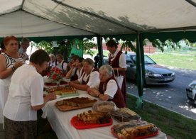 Dzień Miodu i Pieroga Biszcza 01.07.2012r.