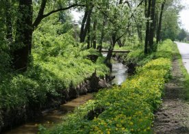 09.05.2013 Wiosenne Pejzaże