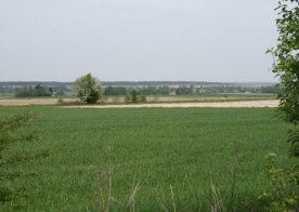 09.05.2013 Wiosenne Pejzaże