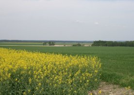 09.05.2013 Wiosenne Pejzaże