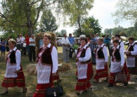 Dożynki Gminno-Parafialne Wólka Biska 31.08.2014r.