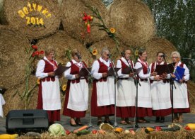 Dożynki Gminno-Parafialne Wólka Biska 31.08.2014r.