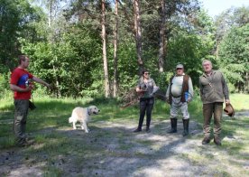 Konkurs pracy psów tropowców i posokowców Wólka Biska 04.06.2016r.