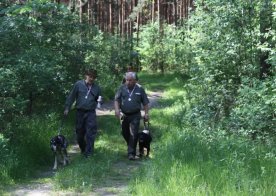 Konkurs pracy psów tropowców i posokowców Wólka Biska 04.06.2016r.