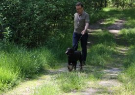 Konkurs pracy psów tropowców i posokowców Wólka Biska 04.06.2016r.