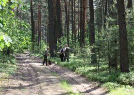 Konkurs pracy psów tropowców i posokowców Wólka Biska 04.06.2016r.