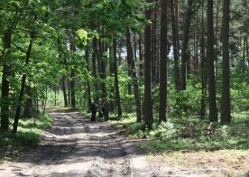 Konkurs pracy psów tropowców i posokowców Wólka Biska 04.06.2016r.