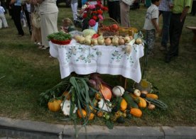 Dożynki Parafialno - Gminne, Bukowina 2009