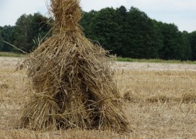 Spotkania Graniczne Bukowina 31.07.2016r.