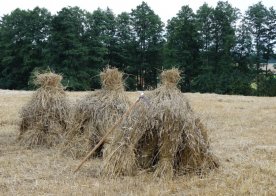 Spotkania Graniczne Bukowina 31.07.2016r.