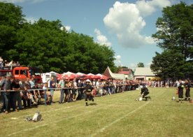 Zawody sportowo - pożarnicze 19.06.2017r.