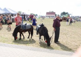 Dzień Miodu i Pieroga 09.07.2017r.