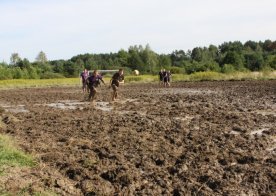 VII Mistrzostwa Polski w Piłce Błotnej. Zbiornik wodny Biszcza - Żary 09.09.2017r