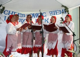 Gminne dożynki 2010 